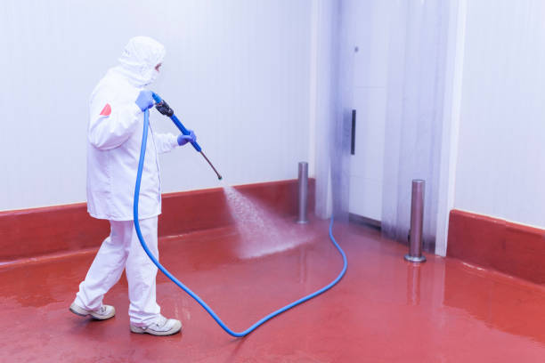 Best Graffiti Removal  in Roebling, NJ