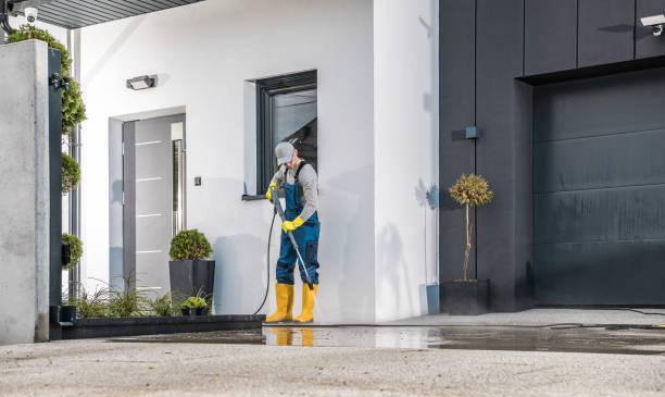 Best Gutter Cleaning  in Roebling, NJ
